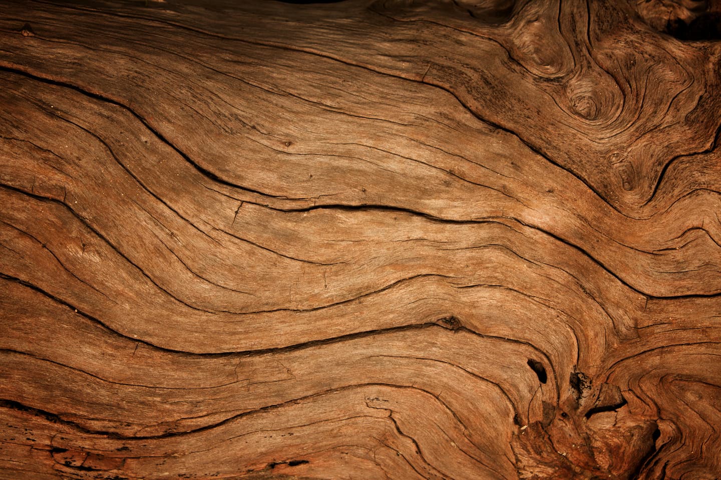 woodgrain background