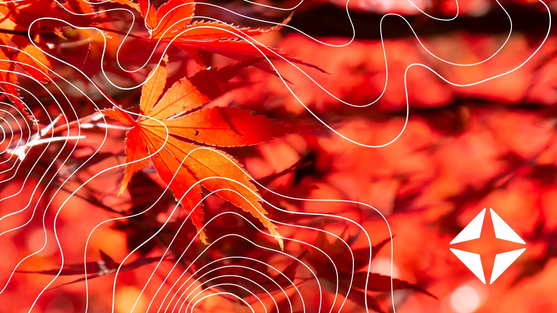 Expert Q+A: Targeting denials + collections to boost cash flow