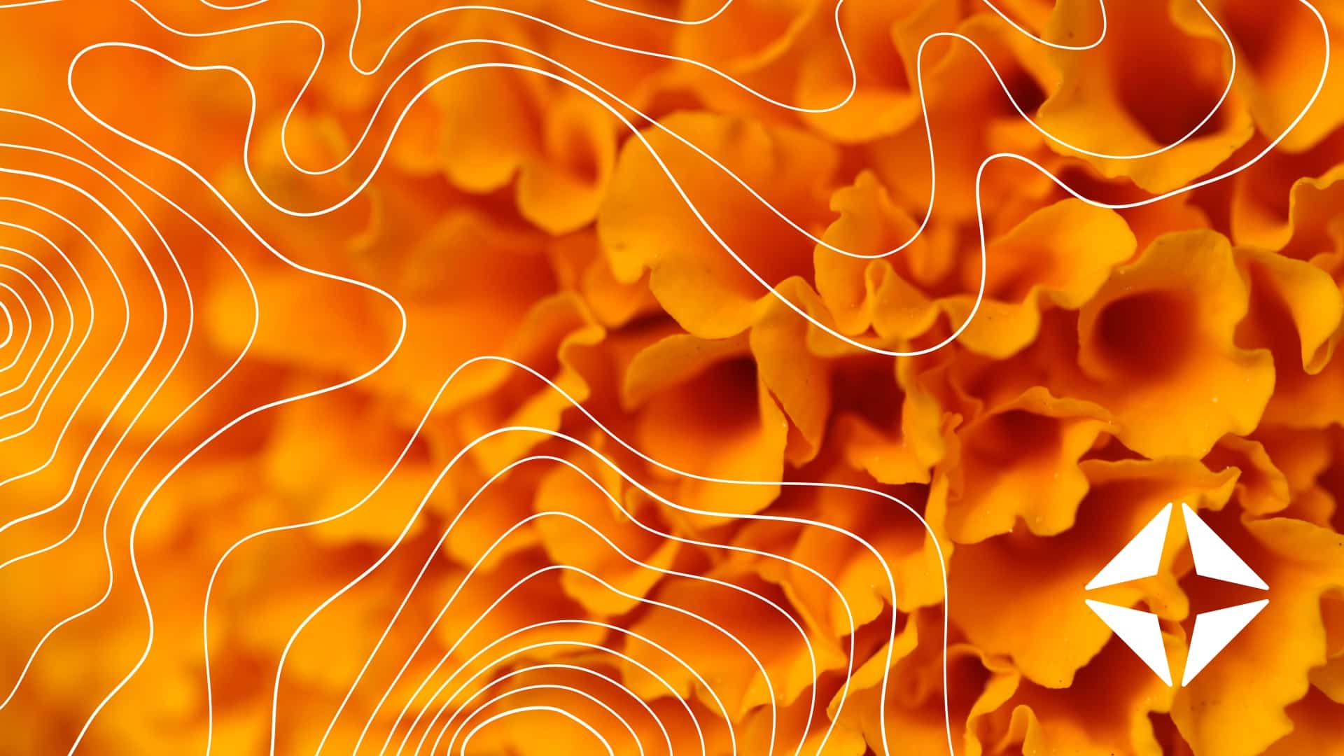 New eClinicalWorks integration: Activate Coverage Detection