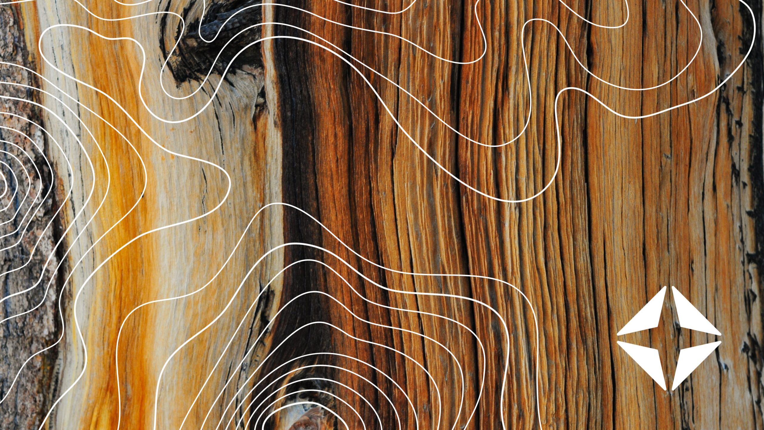 LIVE Q+A — Ask our experts anything: Healthcare payments