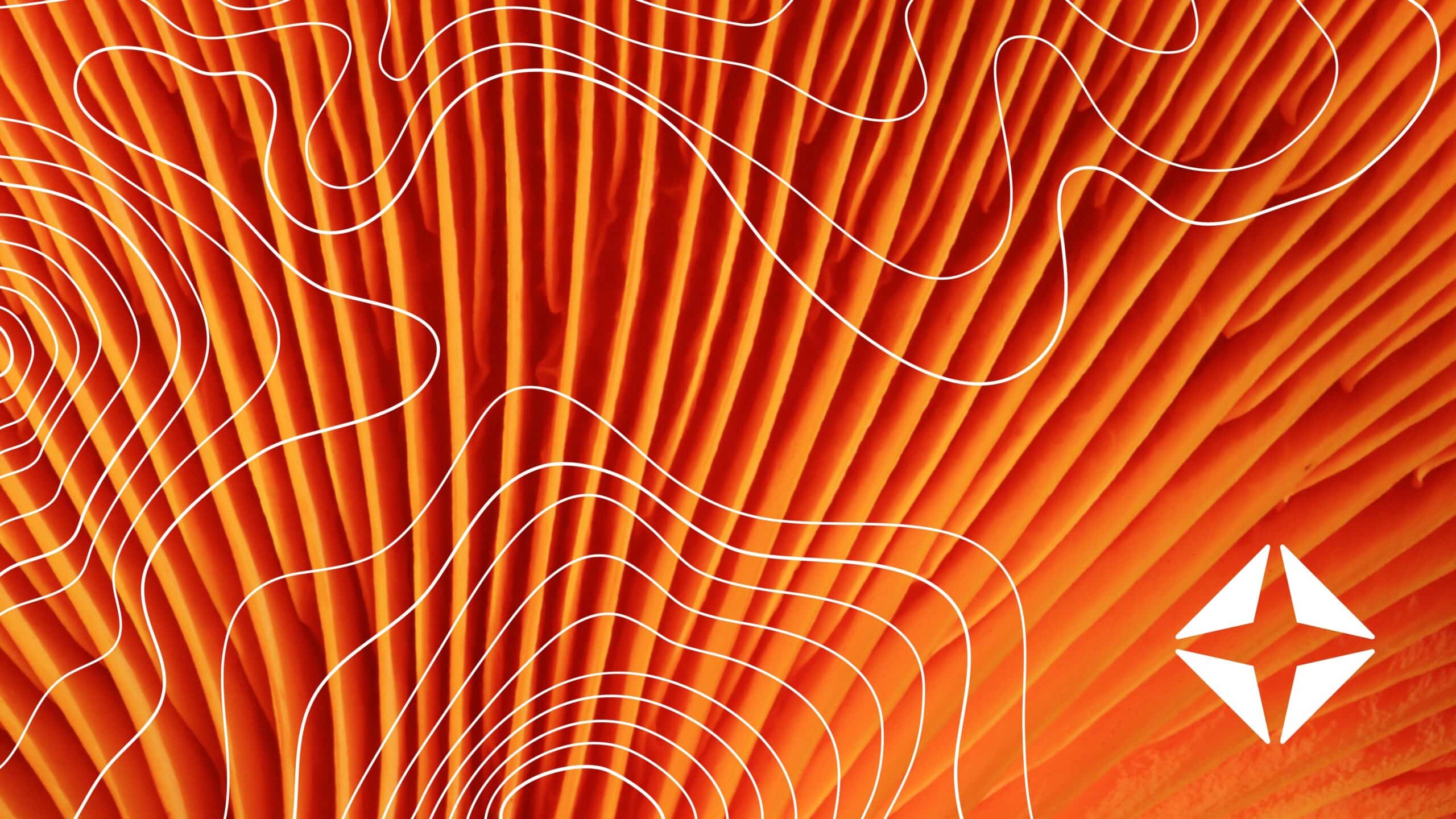 LIVE Q+A: Inside OSF HealthCare’s AI-powered patient access plan<br><br>May 21&nbsp; | &nbsp;2 p.m. ET