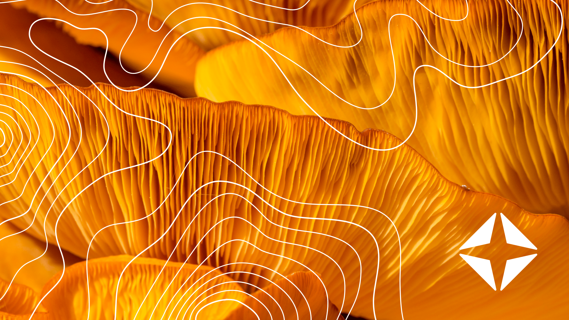 LIVE Q+A: Front-end forum — Exploring auths, patient access + more<br><br>July 9&nbsp; | &nbsp;1 p.m. ET