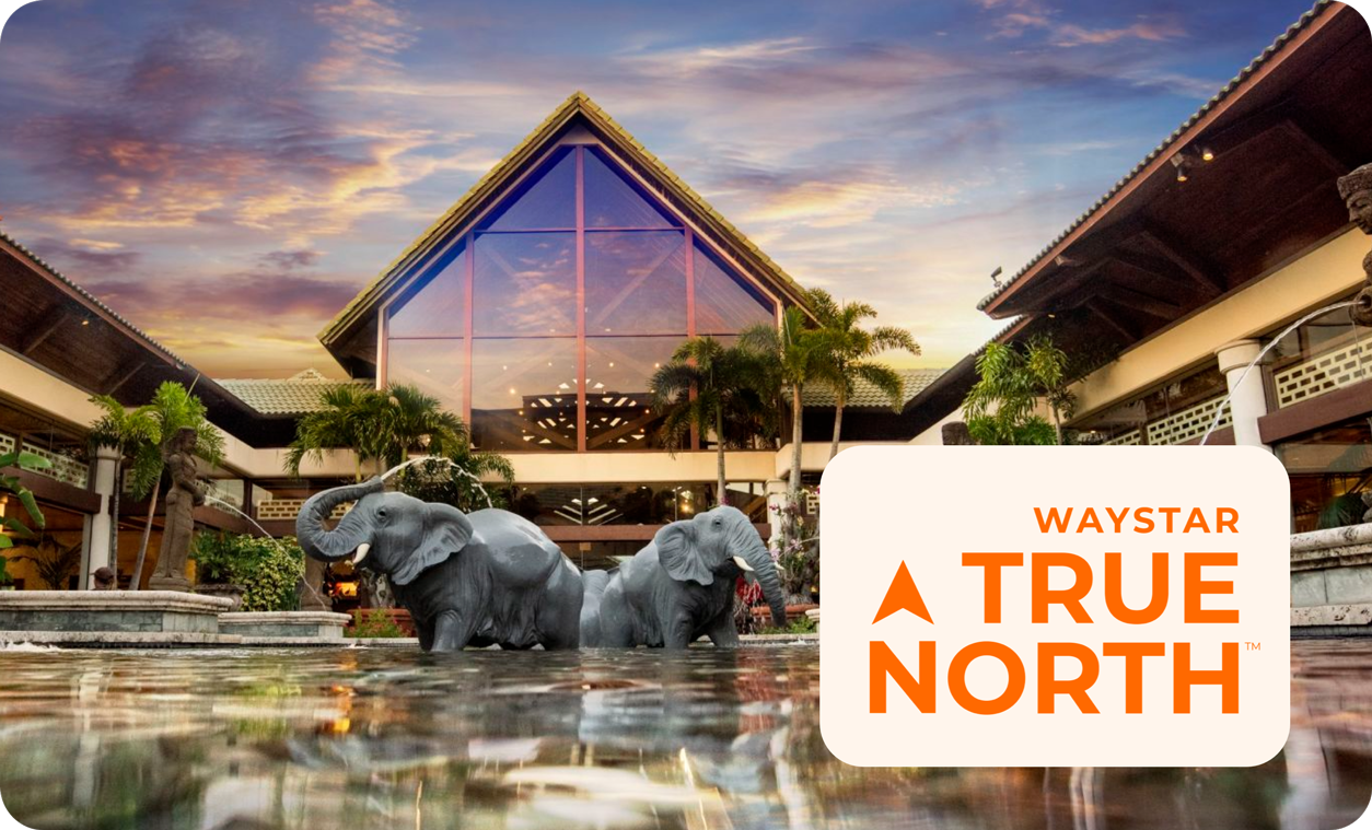 True North event image